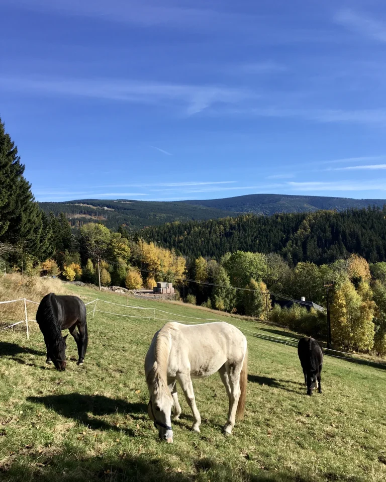 Setkání v Krkonoších – fotografie 9